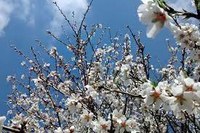 CONCESSIÓ DE SUBVENCIÓ DE LA DIPUTACIÓ DE LLEIDA PER LA CAMPANYA AGRÀRIA 2021