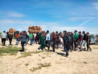 Visita troballa arqueològica Alguaire