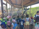 ACTIVITATS D'ESTIU