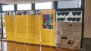 EXPOSICIÓ DE L'ICD "VEÏNES, CIUTADANES".