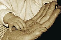 26 DE JULIOL. DIA INTERNACIONAL DELS AVIS I ÀVIES