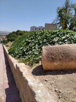 AGRAÏMENT VEÍ JOSEP SERRA