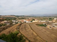 ALMENAR BAIXA EL TIPUS IMPOSITIU DE L’IBI APLICABLE ALS BÉNS RÚSTICS