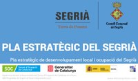 ENQUESTA EMPRESES PLA ESTRATÈGIC CONSELL COMARCAL DEL SEGRIÀ