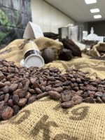 La Fira Tast d'Almenar aplega els millors cuiners i cuiners i més de 400 visitants