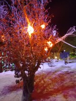 La Nit dels Difunts al Parc Màgic