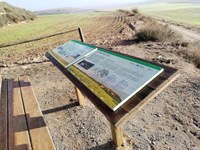 Millorem la biodiversitat d'Almenar amb l'acondicionament de l'espai natural del Clot de la Unilla, subvencionat pel FEADER i DACC